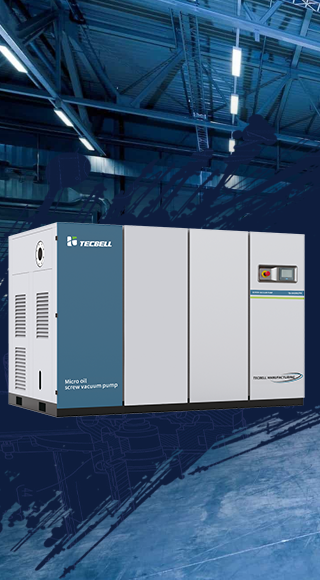 high power variable frequency screw vacuum pump